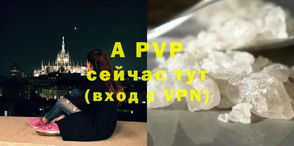 винт Покачи