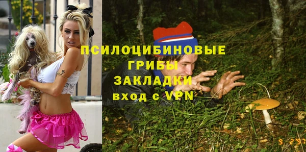 винт Покачи